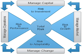 Enterprise Risk Management